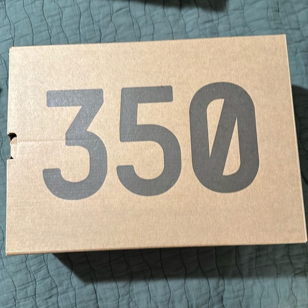 Yeezy 350